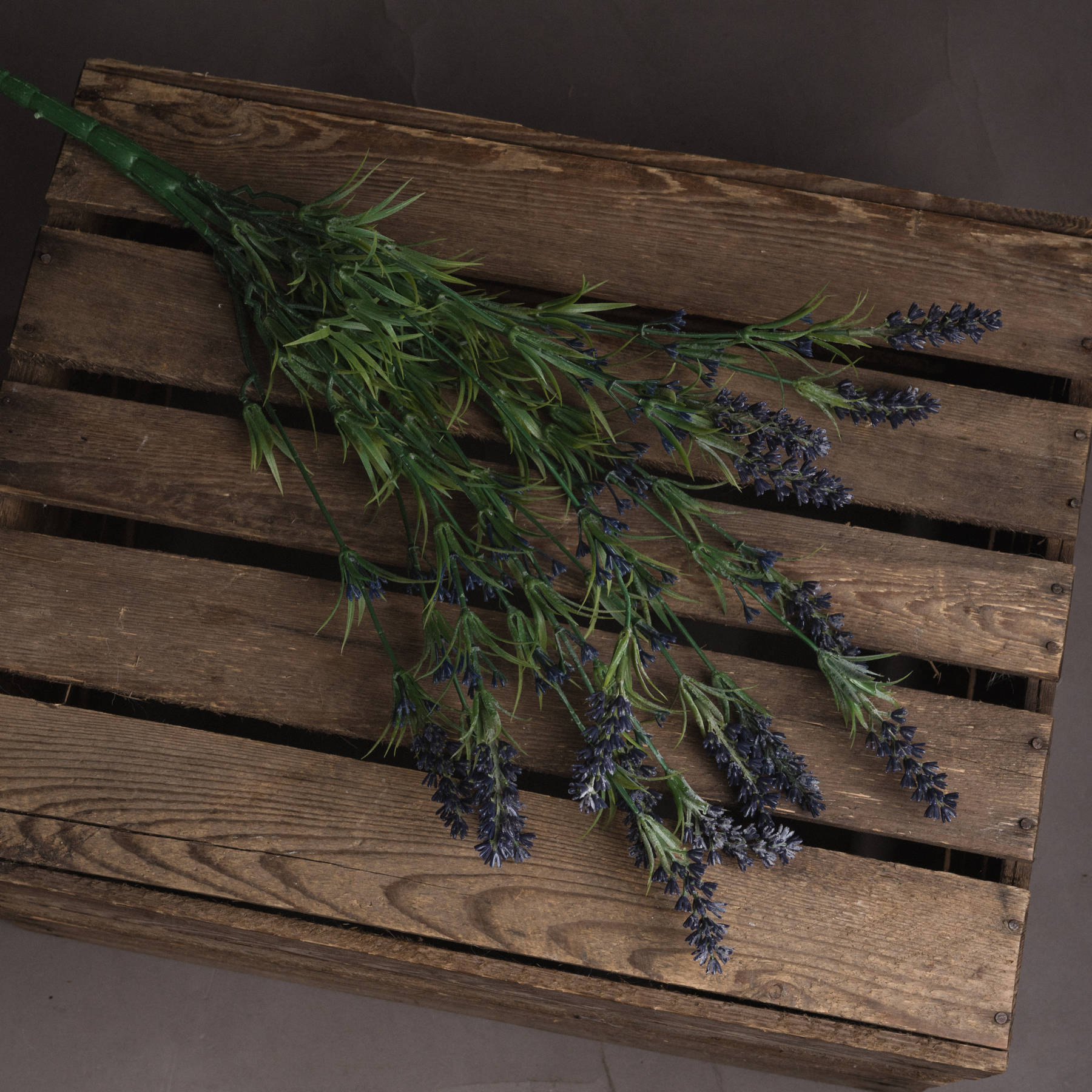 Large Lavender Bush 2 Large Lavender Bush - Image 2