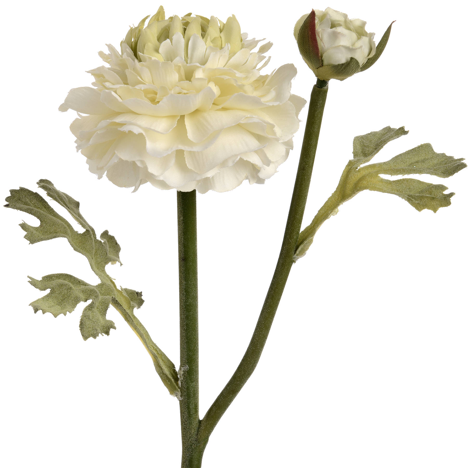 Green Ranunculus Spray 4 Green Ranunculus Spray - Image 4
