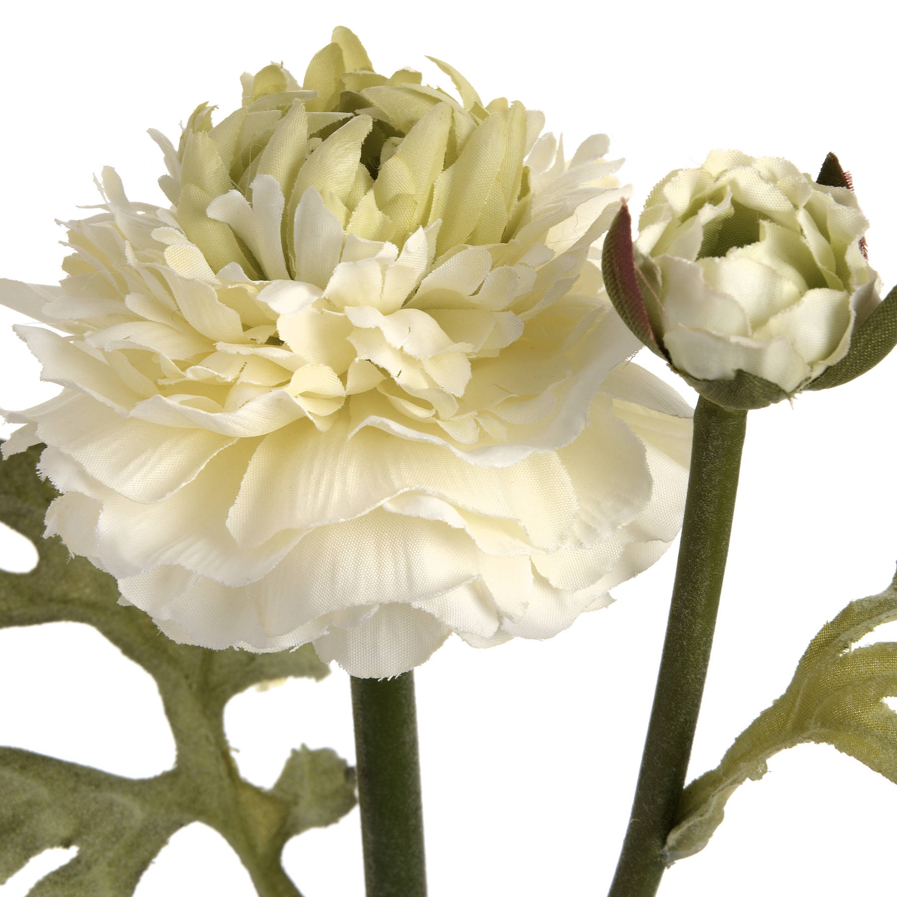 Green Ranunculus Spray 5 Green Ranunculus Spray - Image 5
