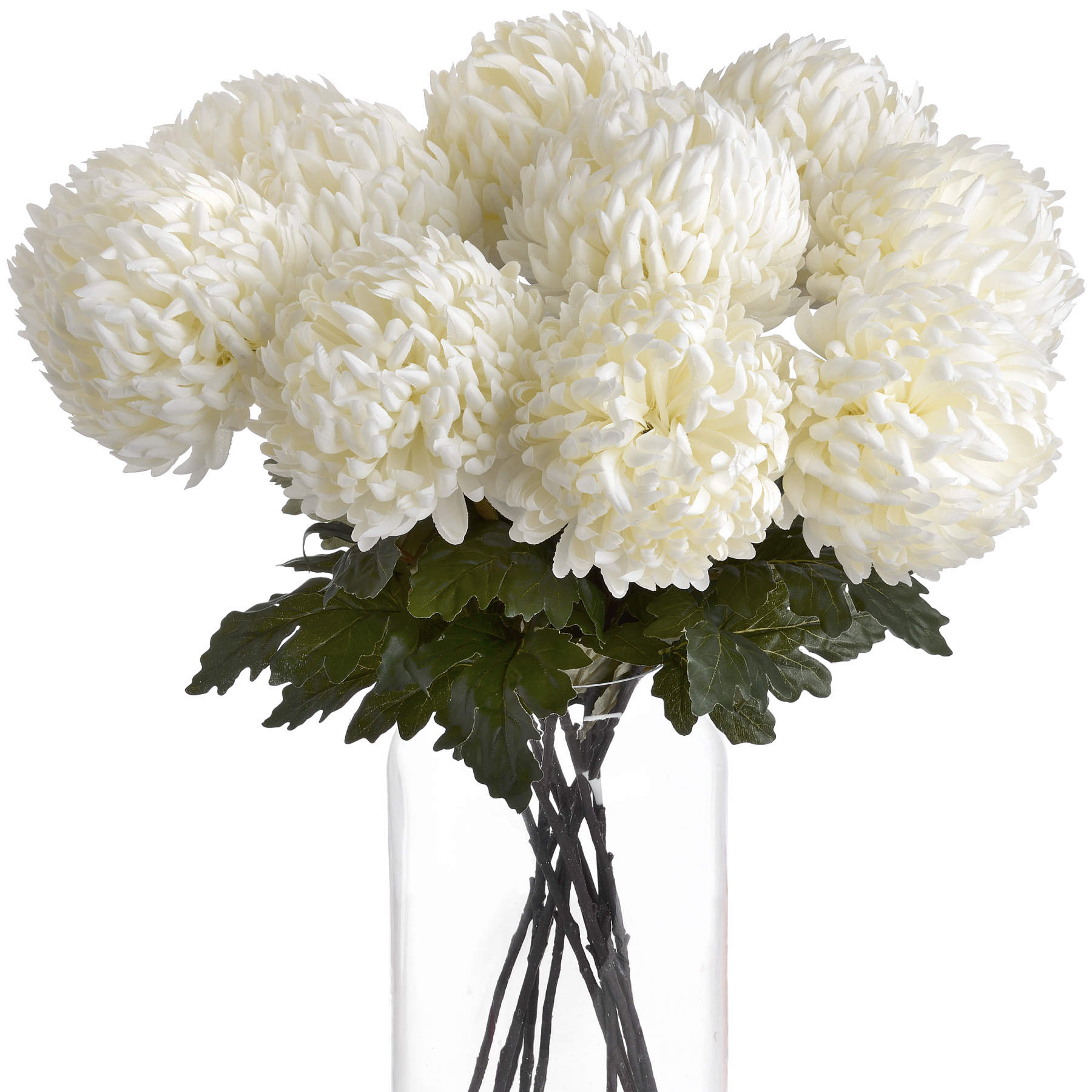 Large White Chrysanthemum 3 Large White Chrysanthemum - Image 3