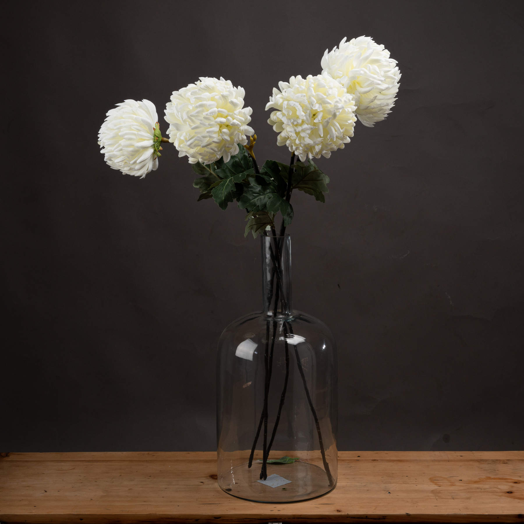 Large White Chrysanthemum Large White Chrysanthemum