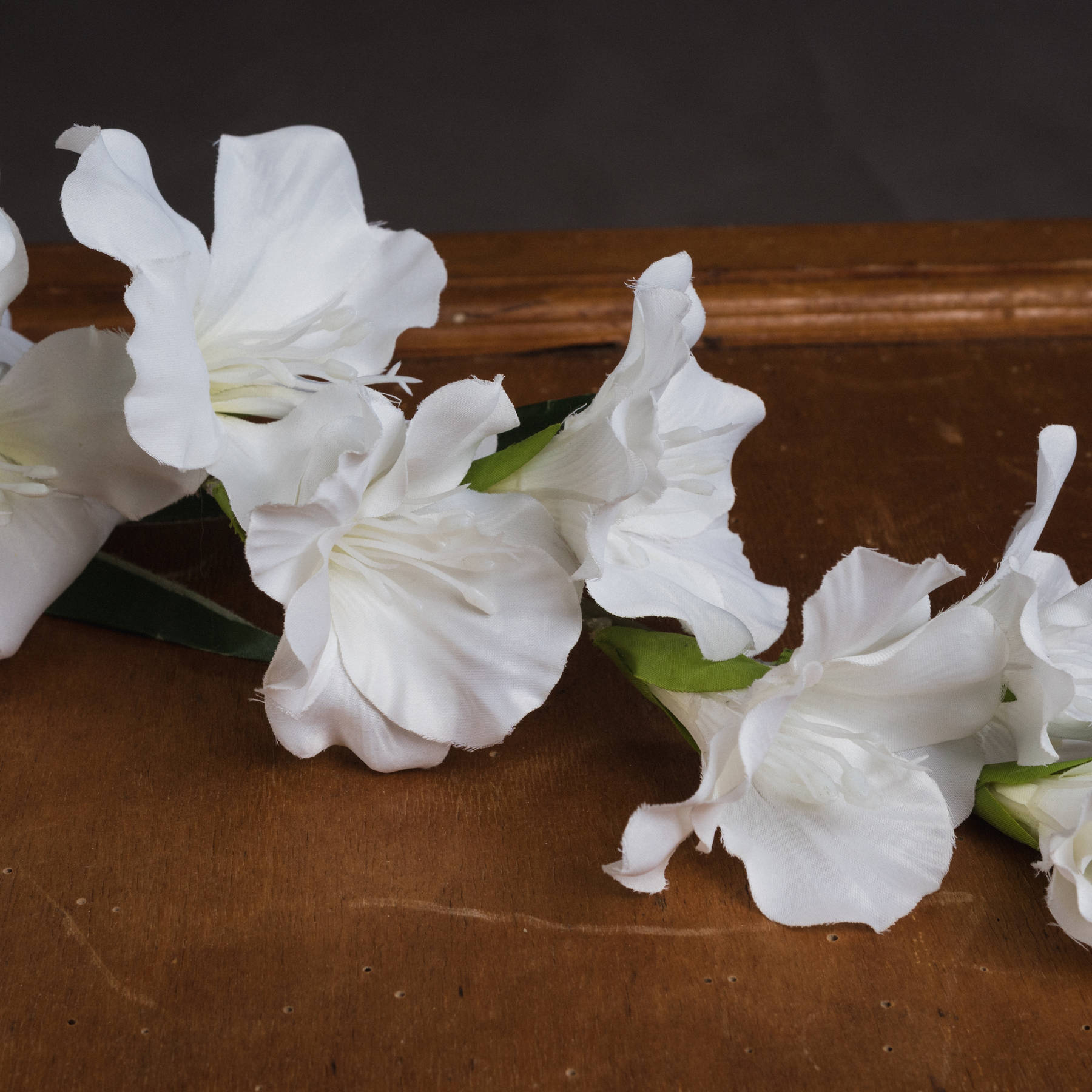 White Gladioli 3 White Gladioli - Image 3