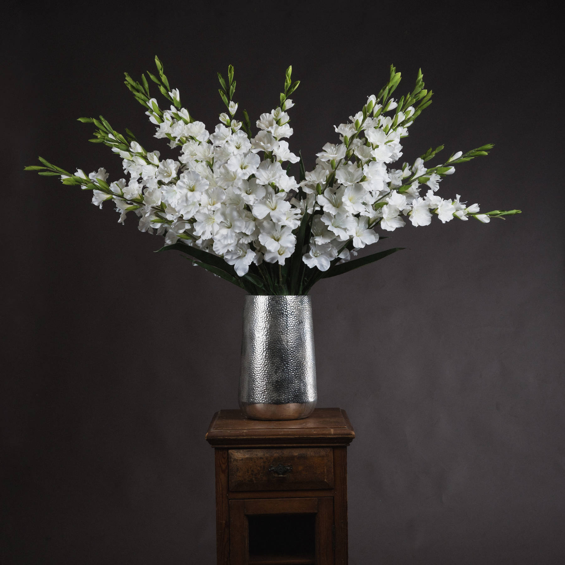 White Gladioli White Gladioli