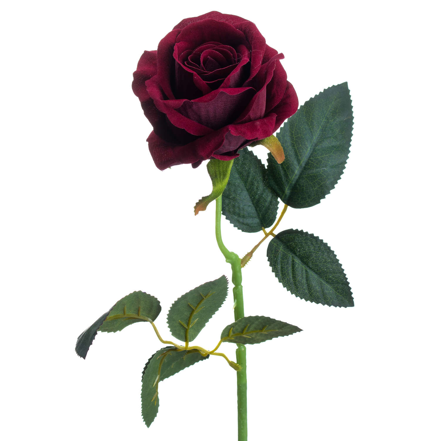 Deep Red Rose 3 Deep Red Rose - Image 3