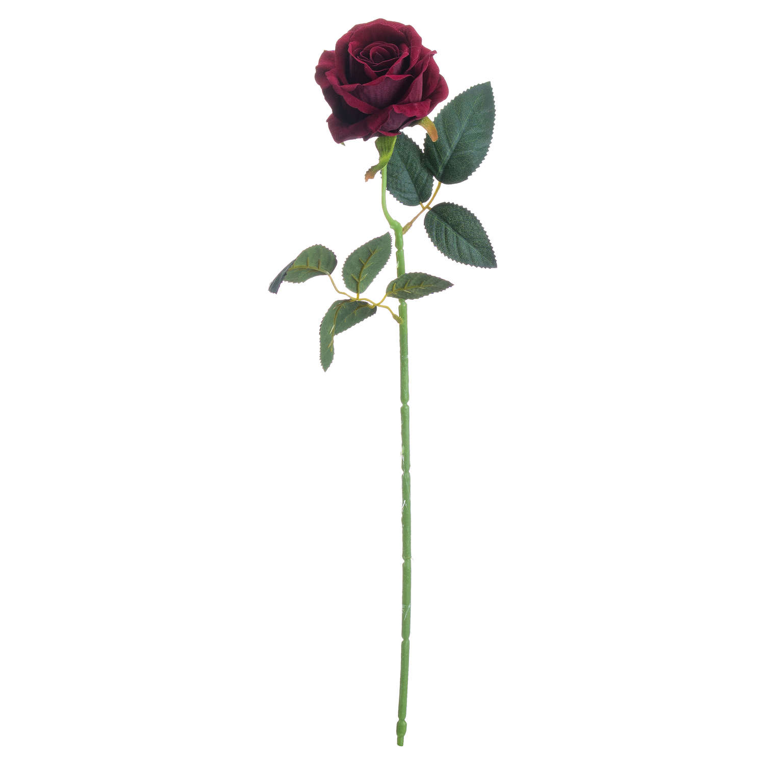 Deep Red Rose 4 Deep Red Rose - Image 4