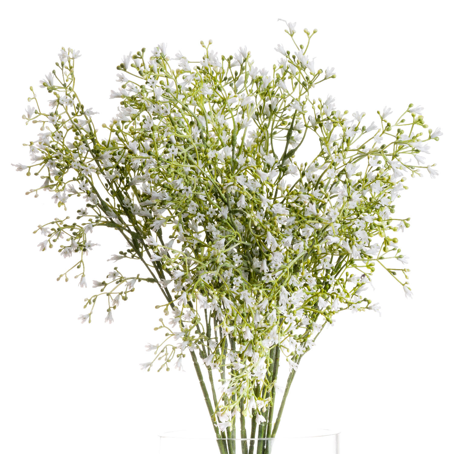 White Gypsophila Spray White Gypsophila Spray