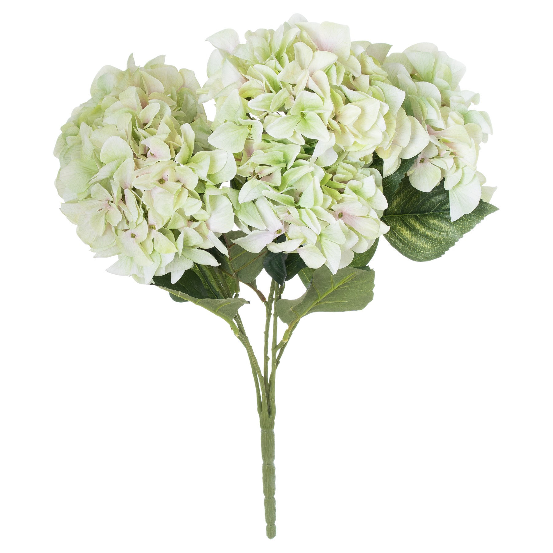 Shabby Green Hydrangea Bouquet Shabby Green Hydrangea Bouquet