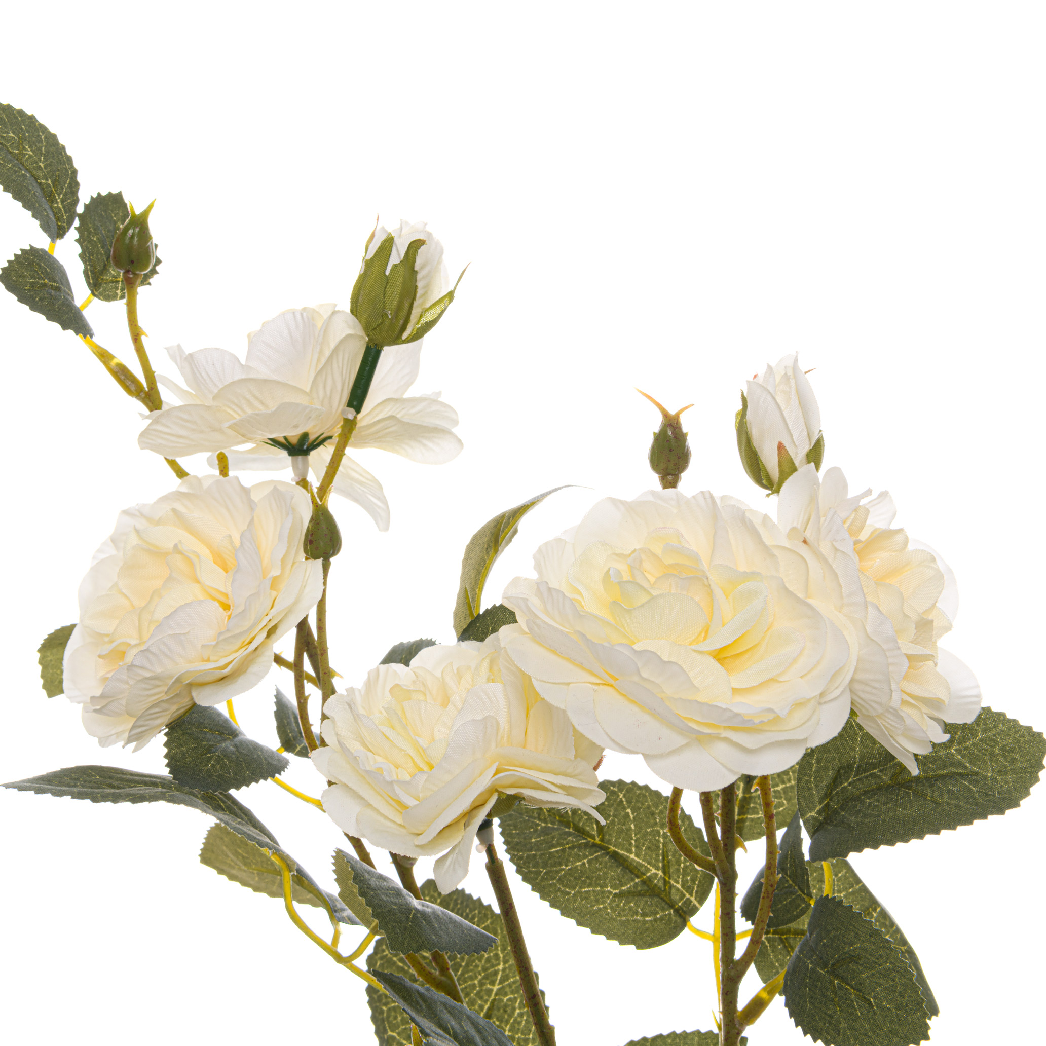 Soft White Cottage Rose Stem 2 Soft White Cottage Rose Stem - Image 2