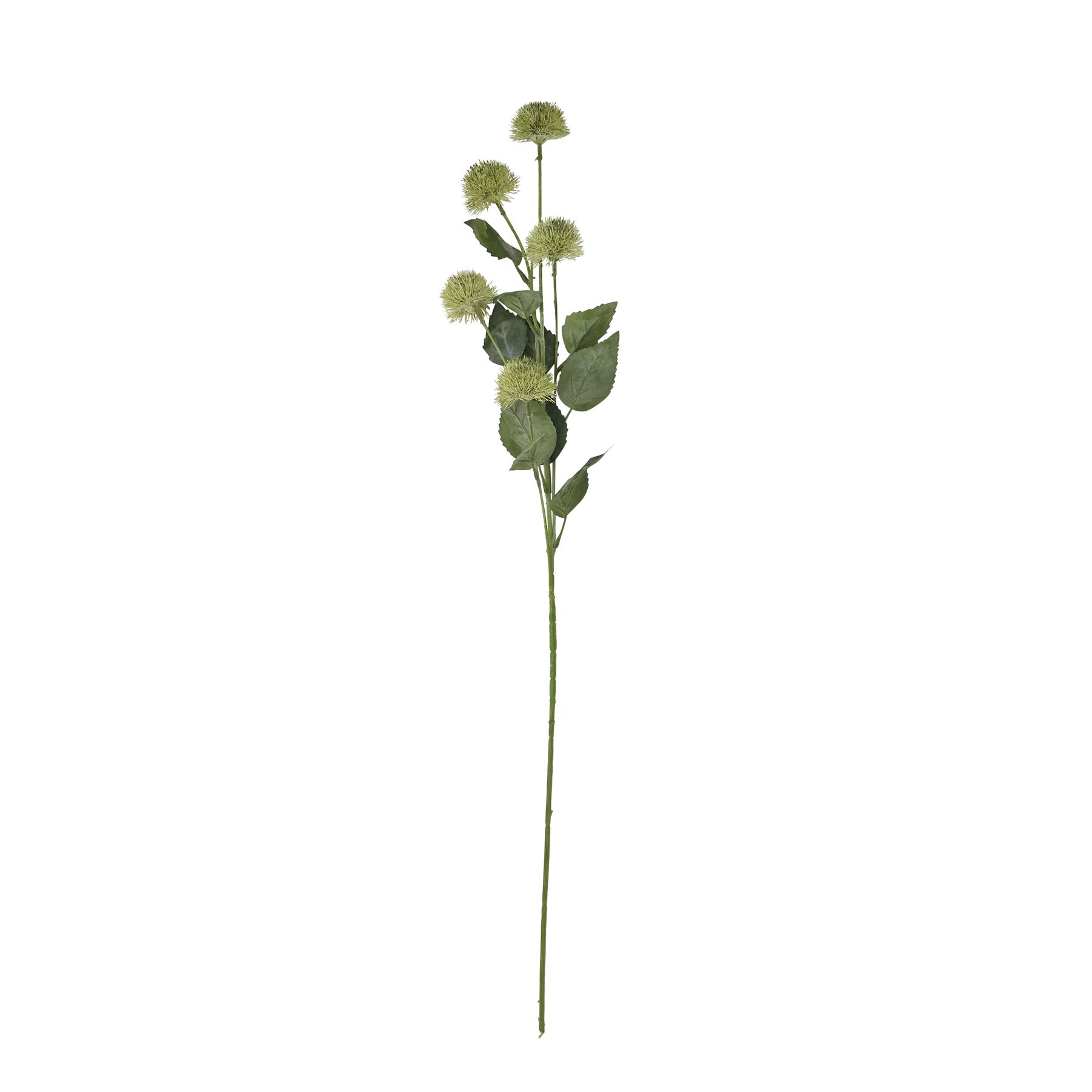 Thistle Globe Stem 4 Thistle Globe Stem - Image 4