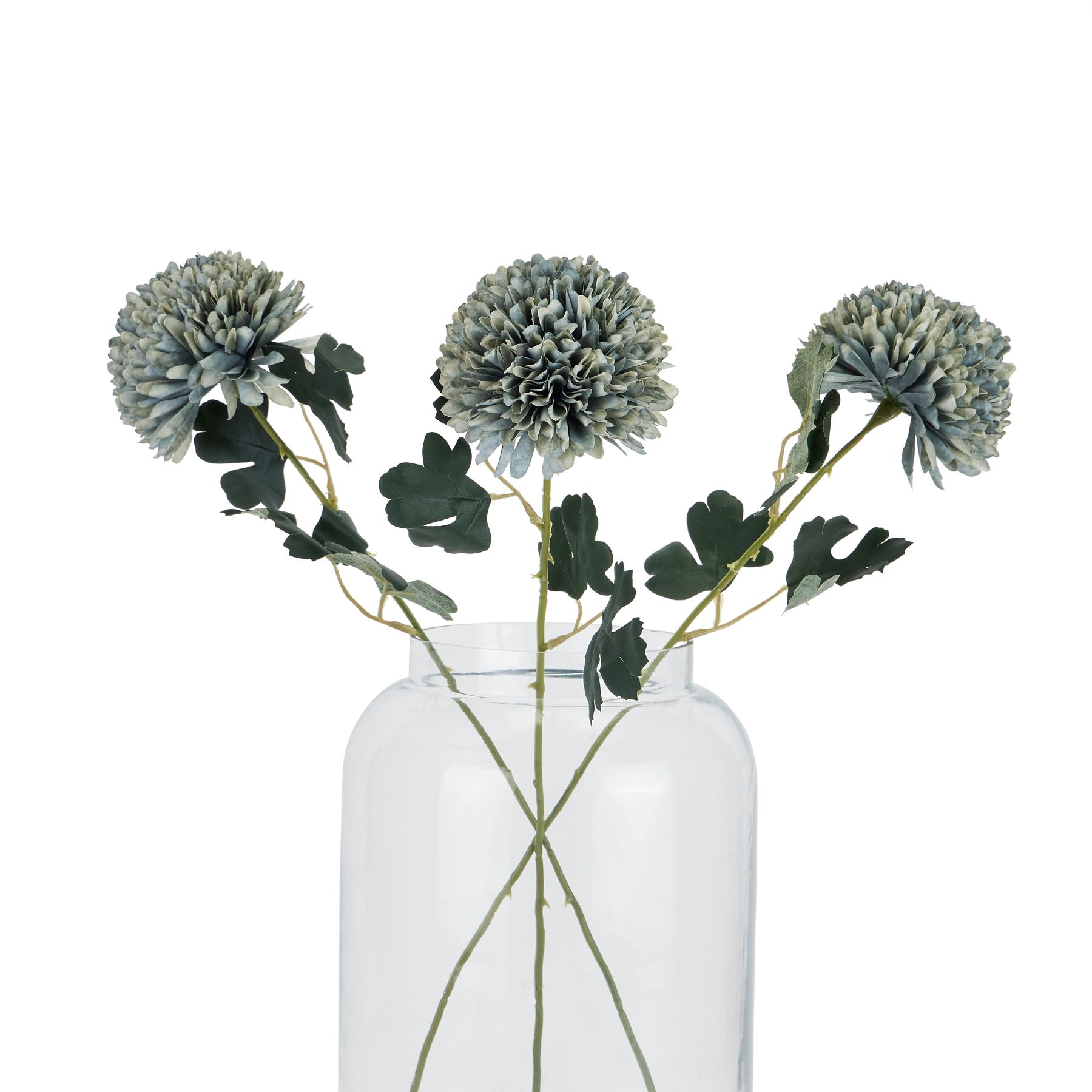 Pale Green Blue Chrysanthemum 4 Pale Green Blue Chrysanthemum - Image 4