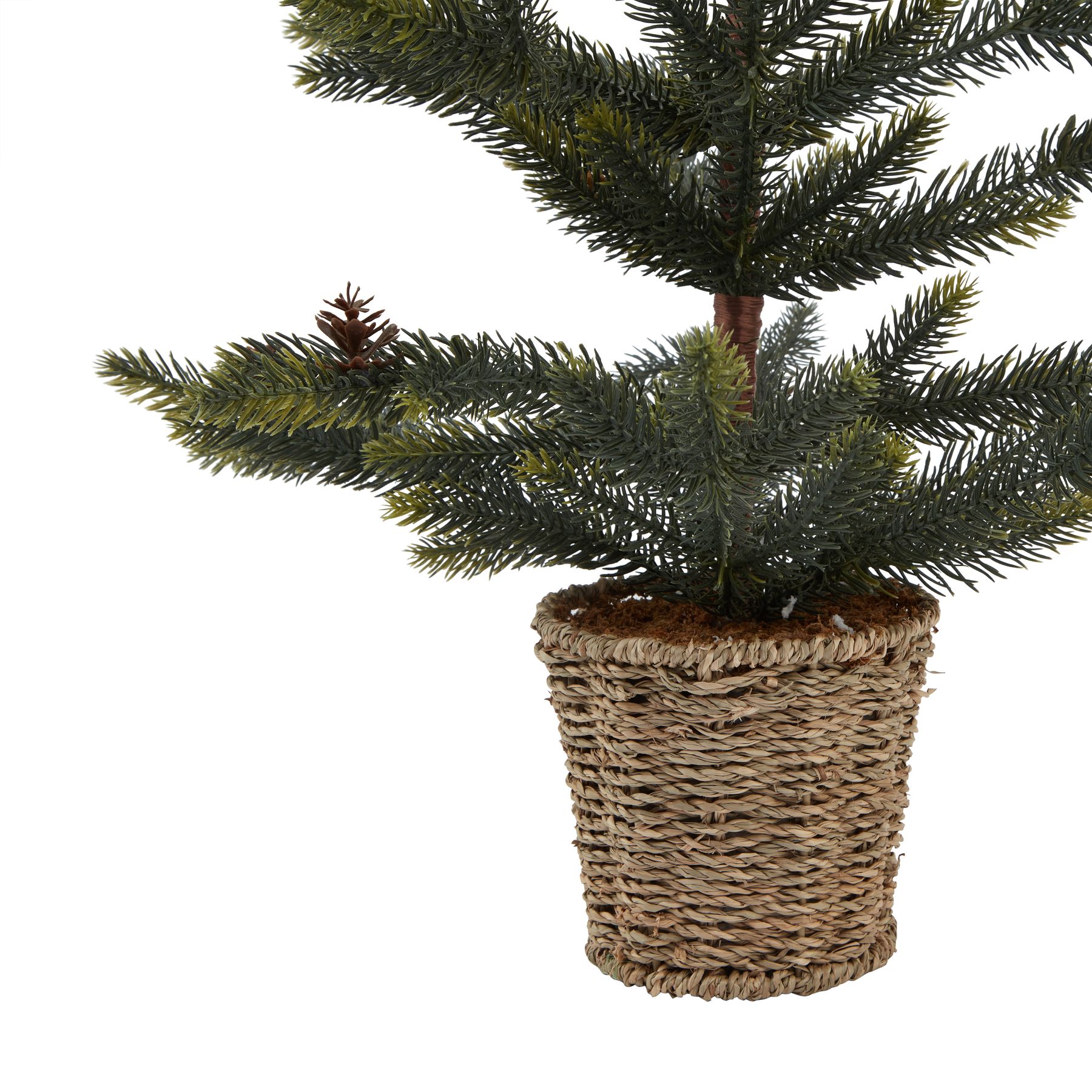 Medium Spruce Tree With Wicker Basket 2 Medium Spruce Tree With Wicker Basket - Image 2
