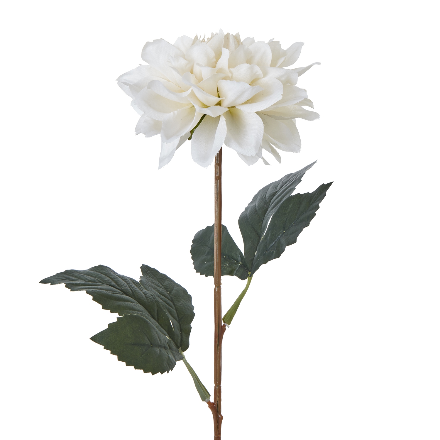 The Natural Garden Collection Tall White Dahlia 2 The Natural Garden Collection Tall White Dahlia - Image 2