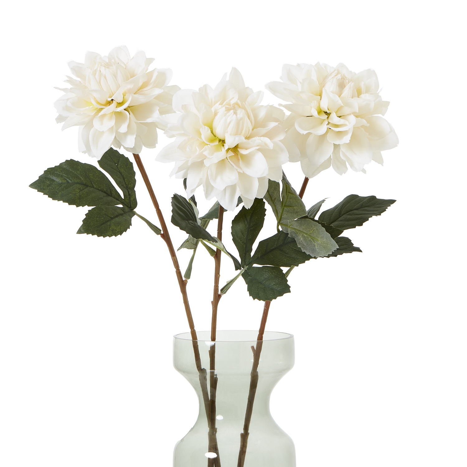 The Natural Garden Collection Tall White Dahlia 3 The Natural Garden Collection Tall White Dahlia - Image 3