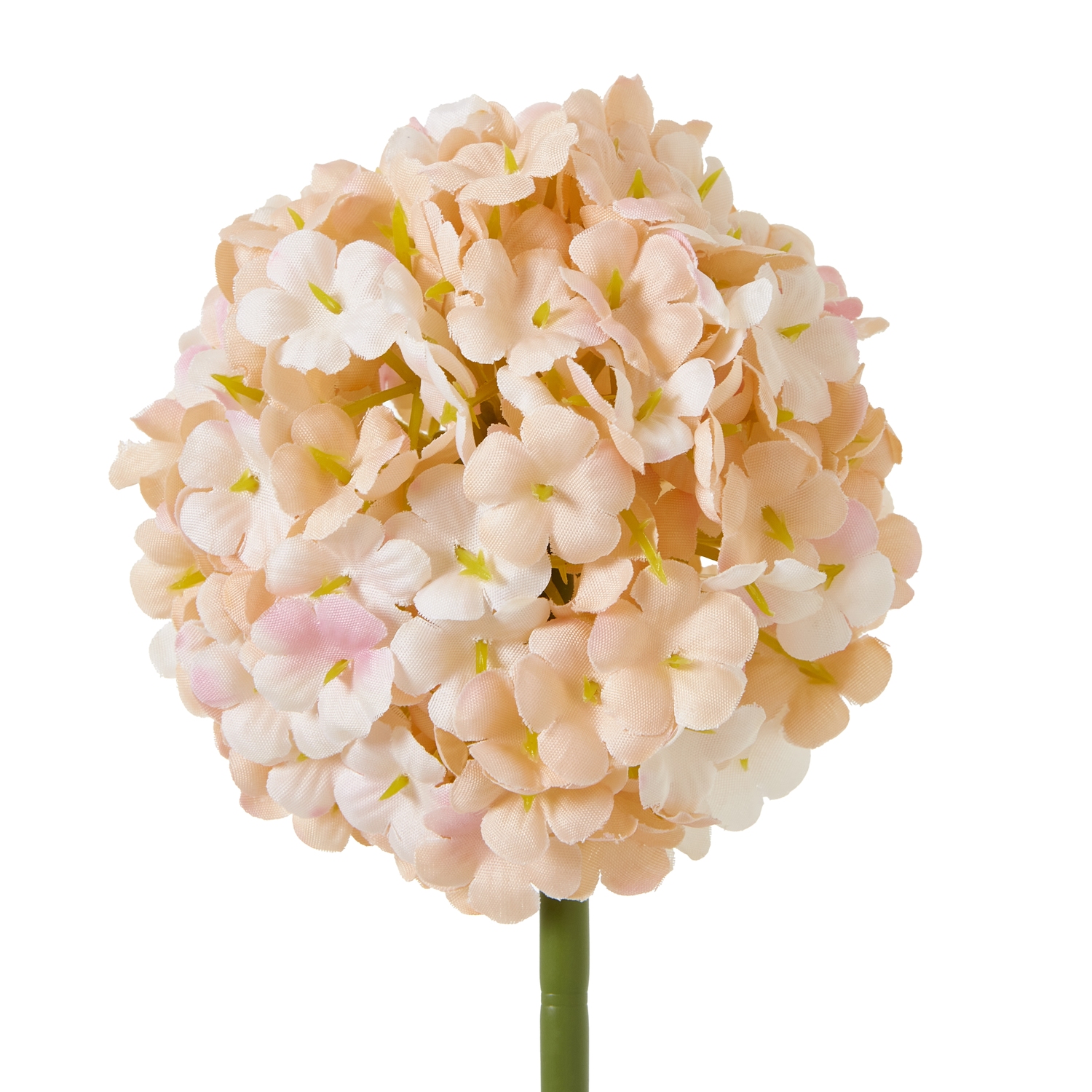 The Natural Garden Collection White & Apricot Allium 2 The Natural Garden Collection White & Apricot Allium - Image 2