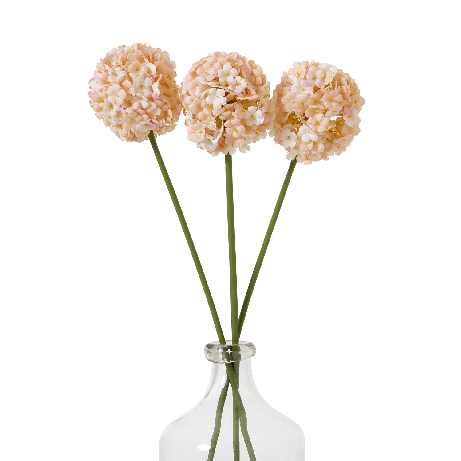 The Natural Garden Collection White & Apricot Allium 3 The Natural Garden Collection White & Apricot Allium - Image 3