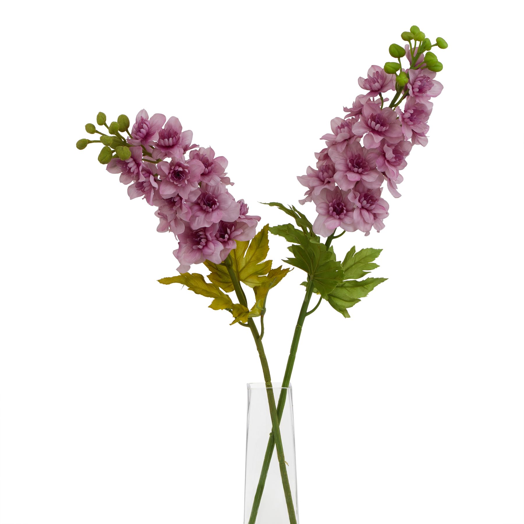 The Natural Garden Collection Purple Elatum Delphinium 3 The Natural Garden Collection Purple Elatum Delphinium - Image 3