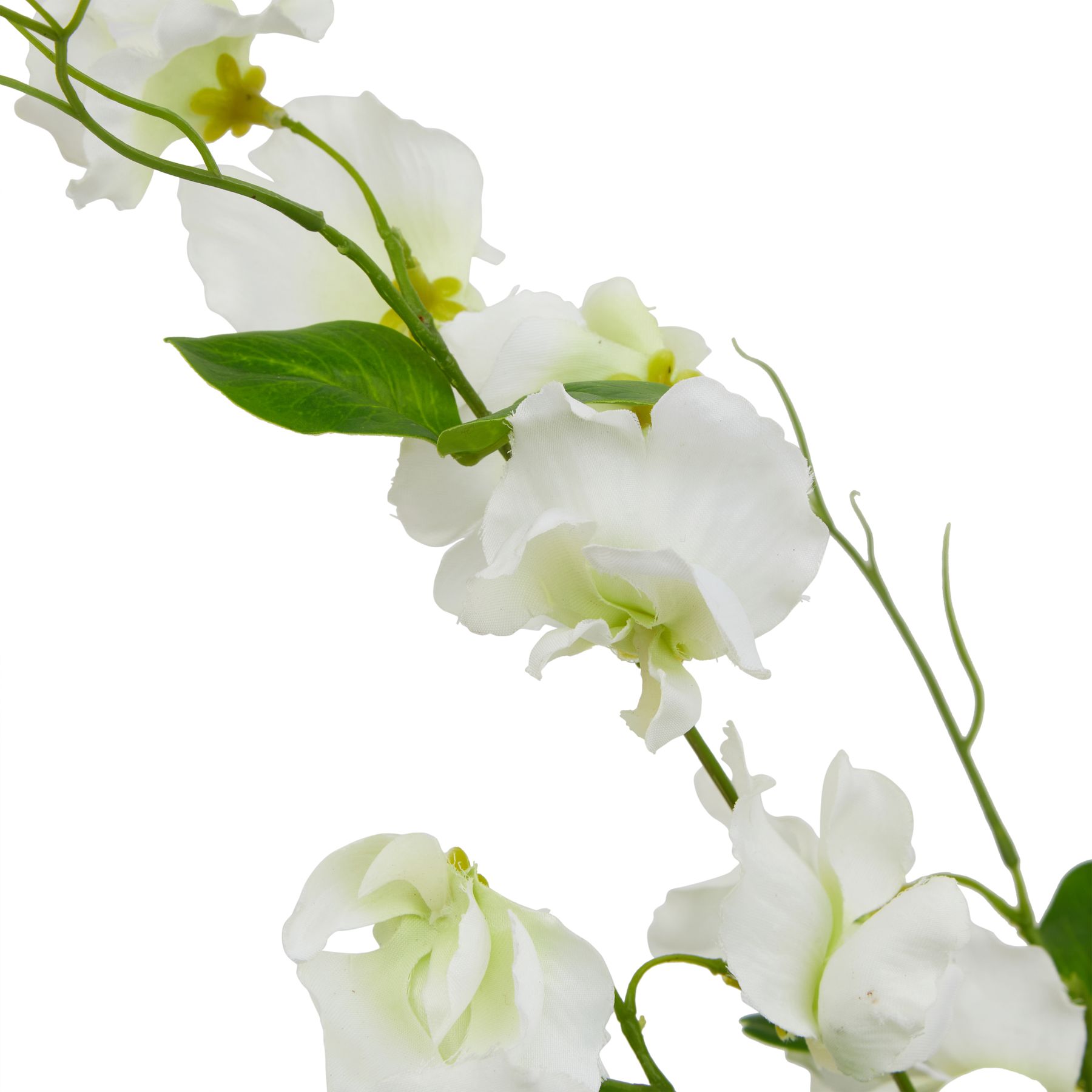 The Natural Garden Collection White Sweetpea Stem 2 The Natural Garden Collection White Sweetpea Stem - Image 2
