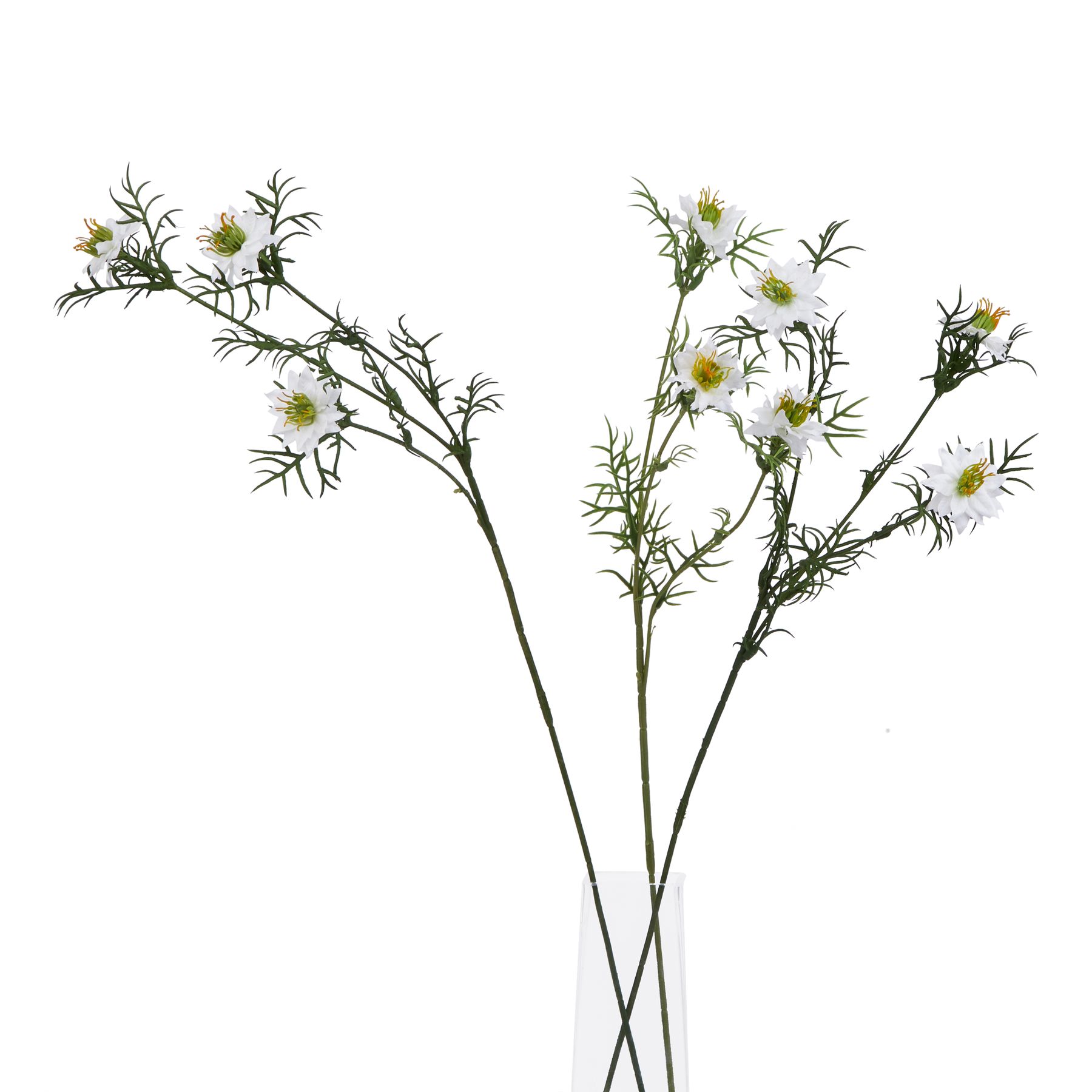 The Natural Garden Collection White Nigella Love In A Mist 3 The Natural Garden Collection White Nigella Love In A Mist - Image 3