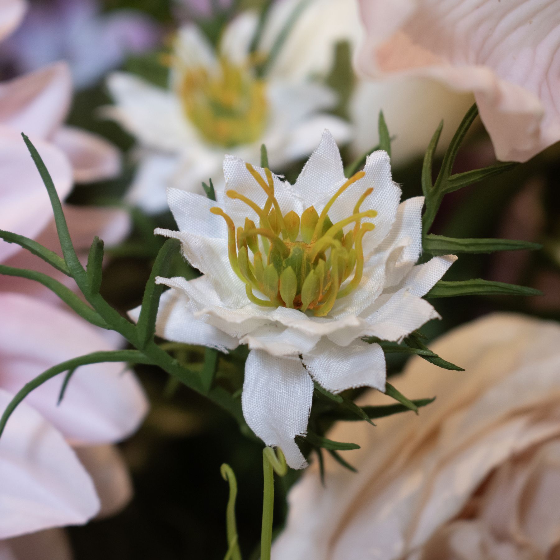 The Natural Garden Collection White Nigella Love In A Mist 4 The Natural Garden Collection White Nigella Love In A Mist - Image 4