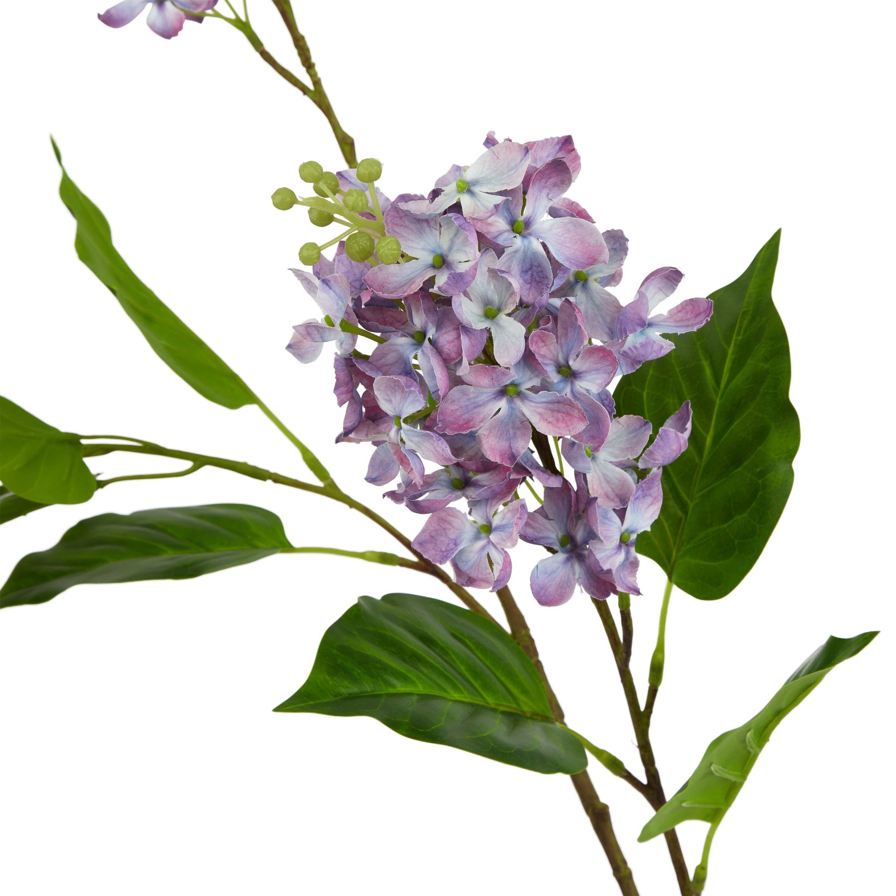 The Natural Garden Collection Purple Lilac Stem 2 The Natural Garden Collection Purple Lilac Stem - Image 2