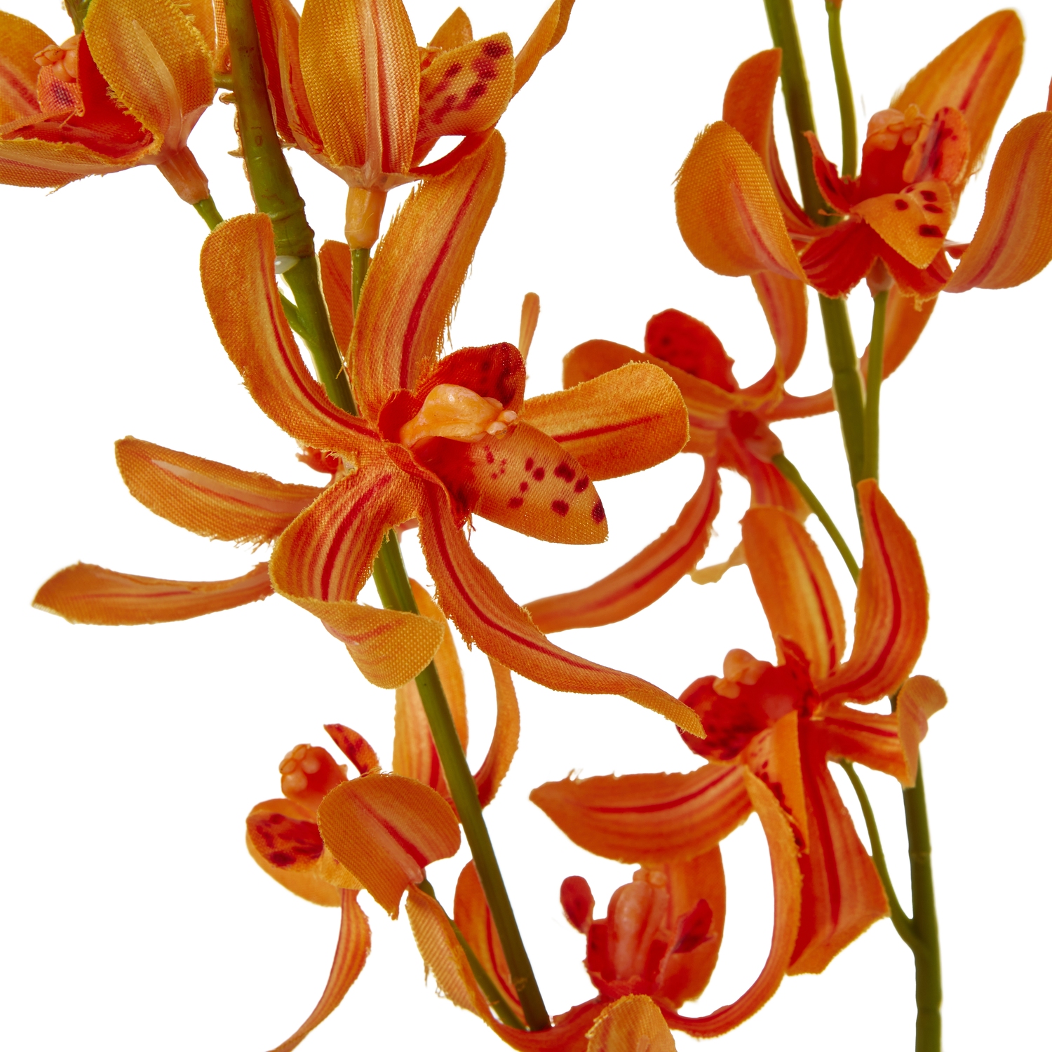 Orange Cymbidium Spray 2 Orange Cymbidium Spray - Image 2