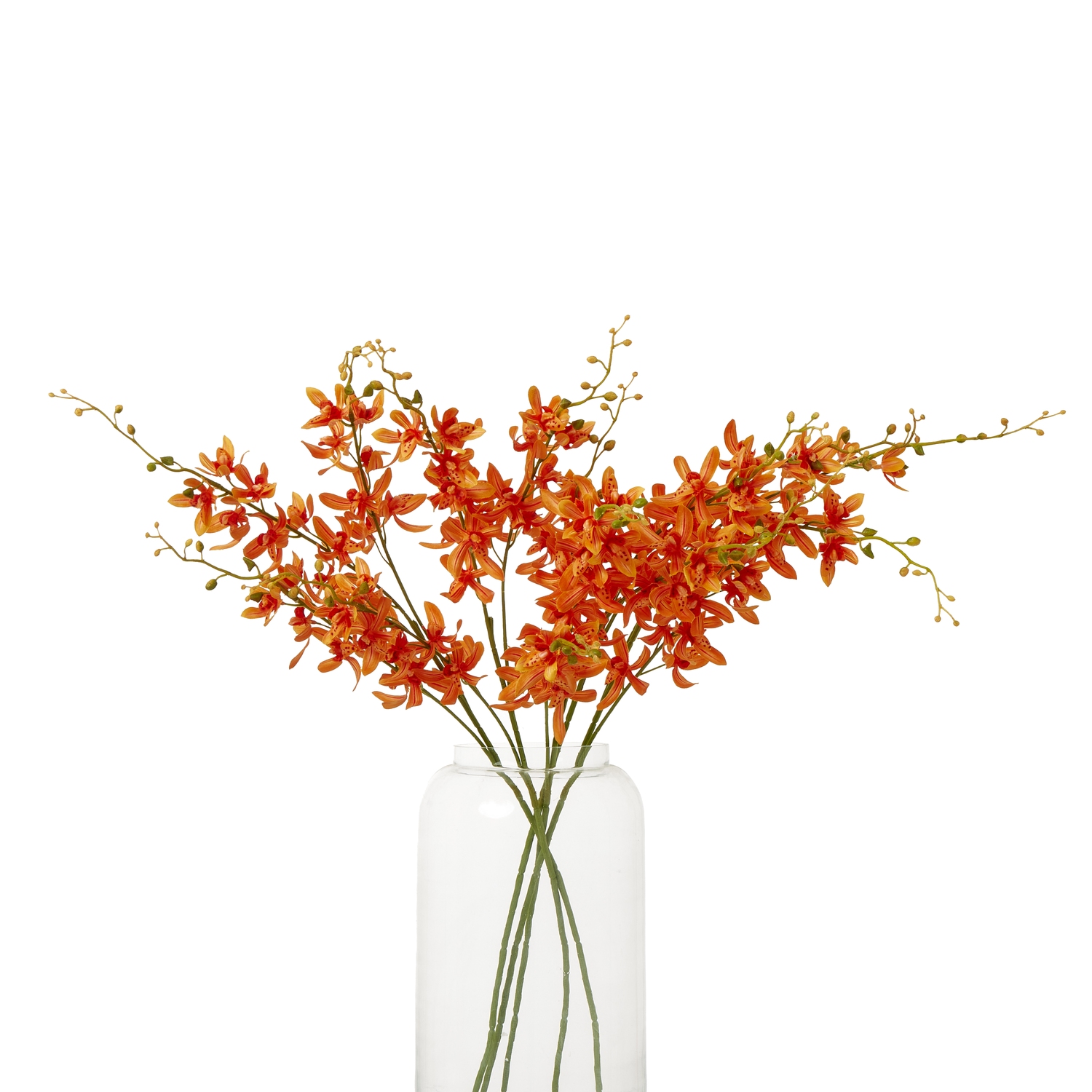 Orange Cymbidium Spray 3 Orange Cymbidium Spray - Image 3