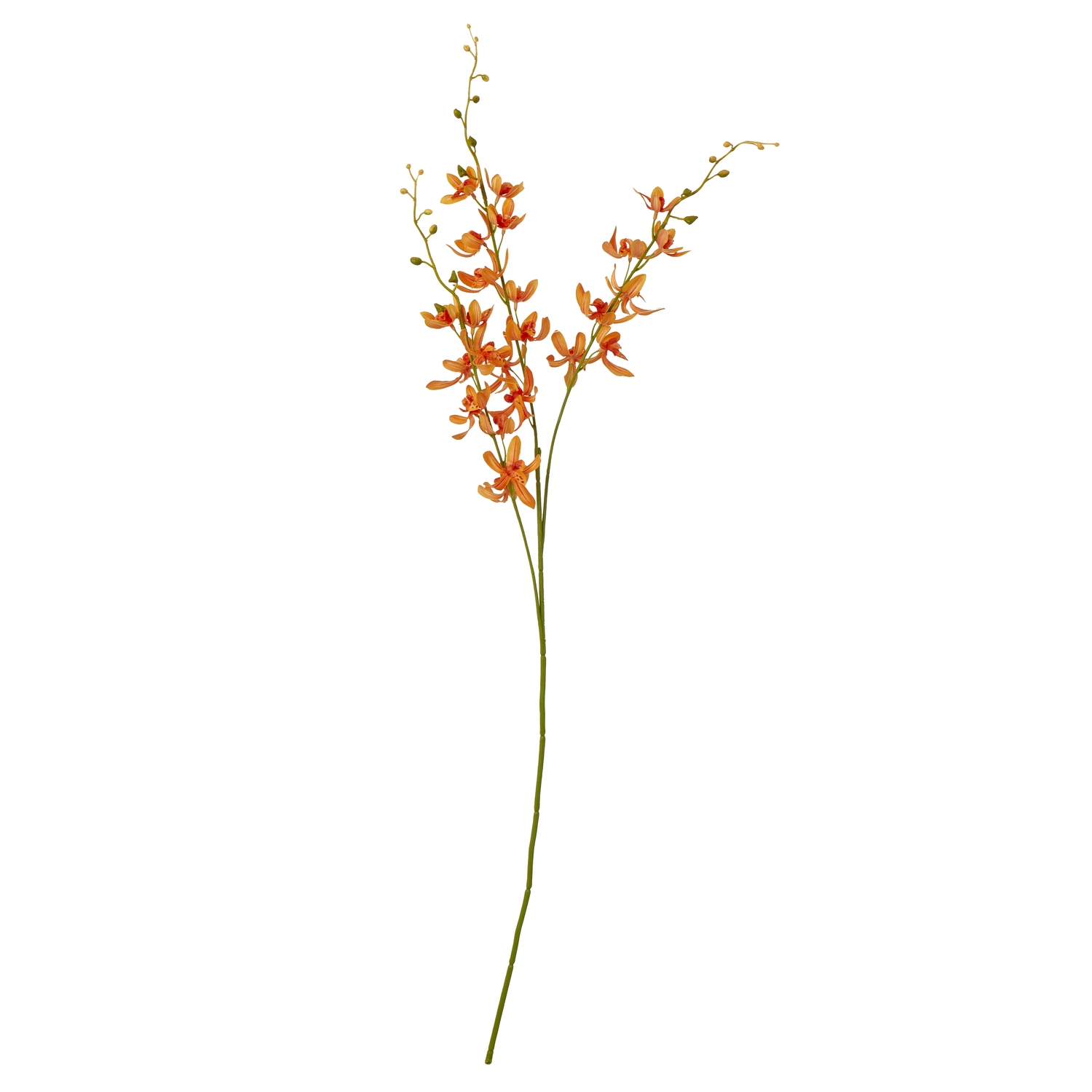 Orange Cymbidium Spray Orange Cymbidium Spray