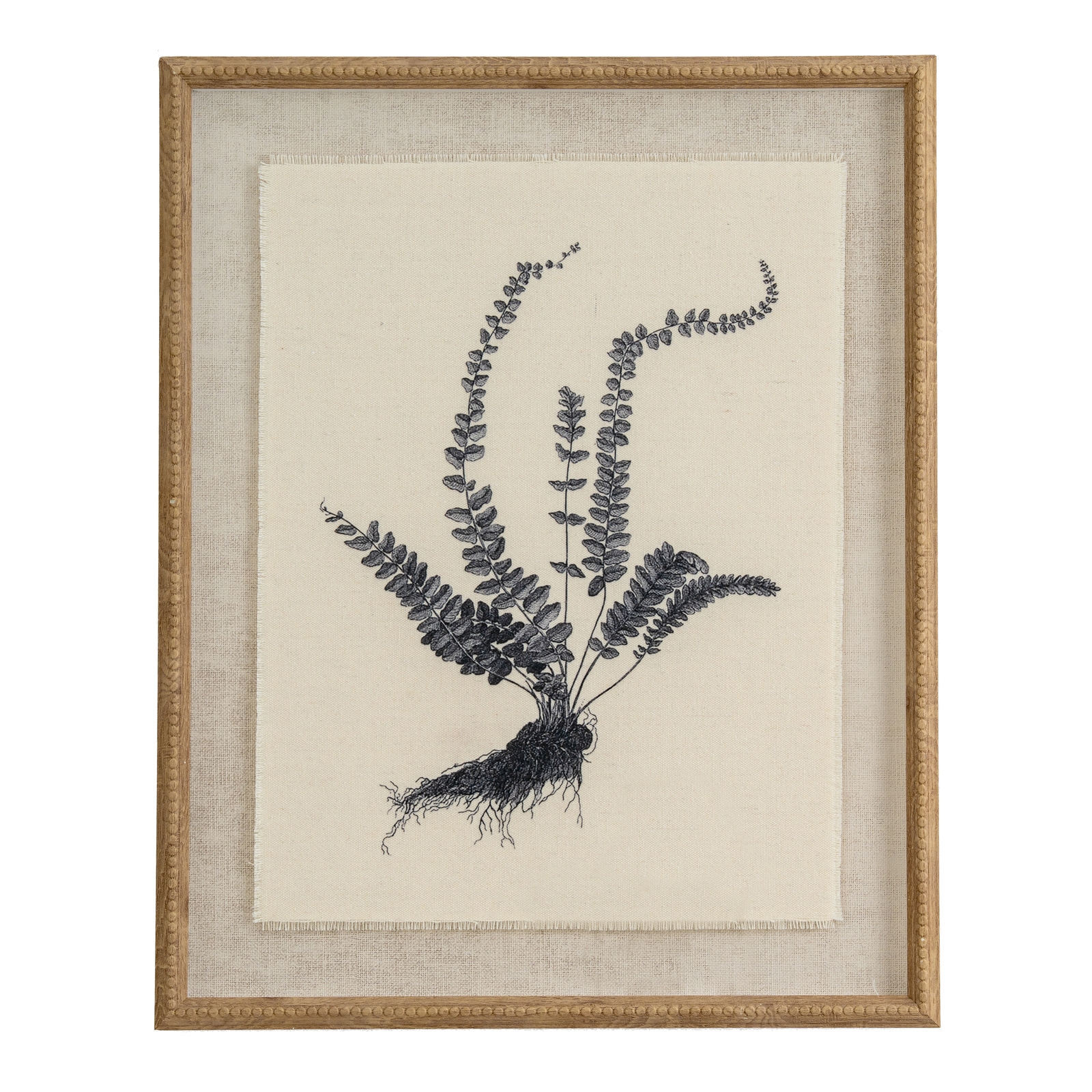 Flora & Fauna Collection Spleenwort On Linen In Beaded Frame Flora & Fauna Collection Spleenwort On Linen In Beaded Frame