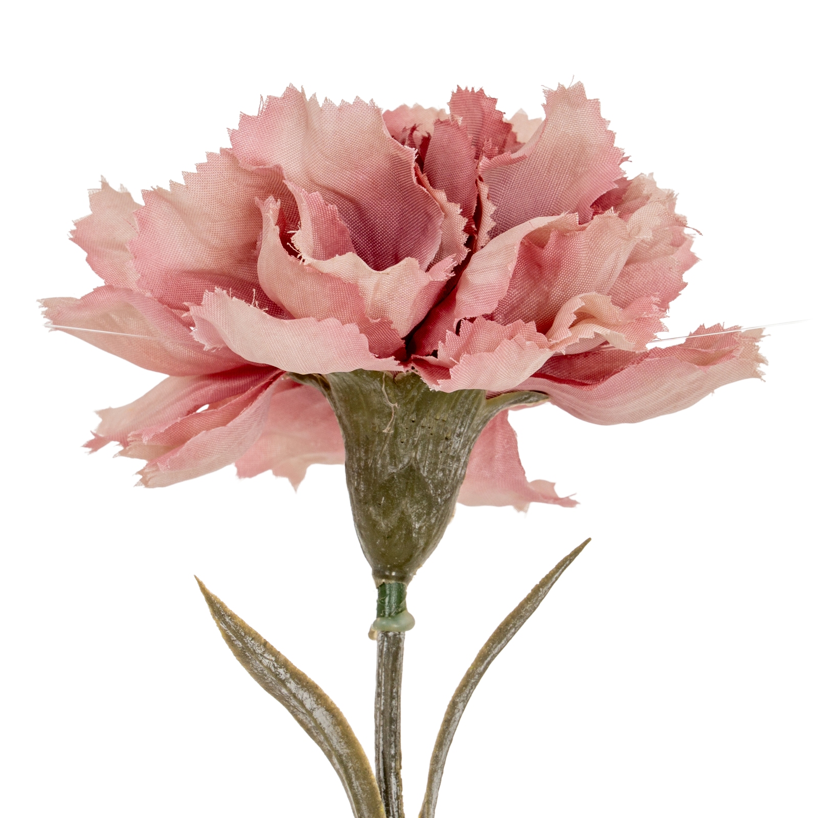 Pink Carnation Stem 3 Pink Carnation Stem 24430 b
