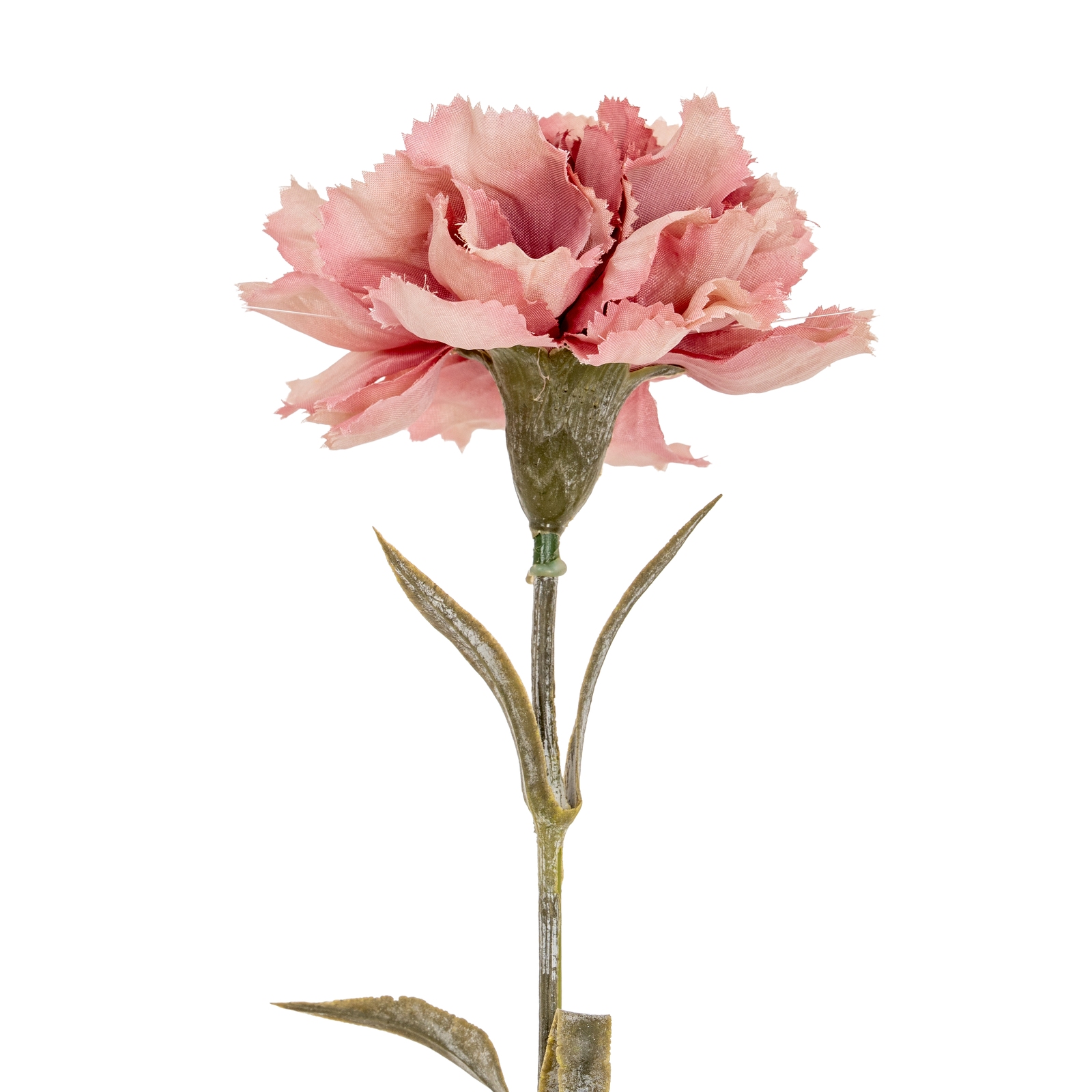 Pink Carnation Stem Pink Carnation Stem 24430